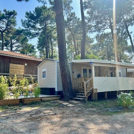 La Cabane Des Pins Lège-Cap-Ferret Екстериор снимка