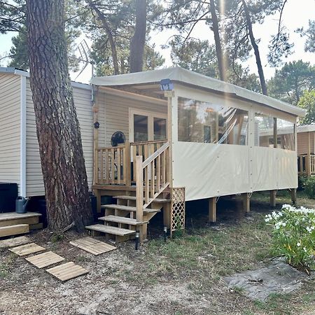 La Cabane Des Pins Lège-Cap-Ferret Екстериор снимка
