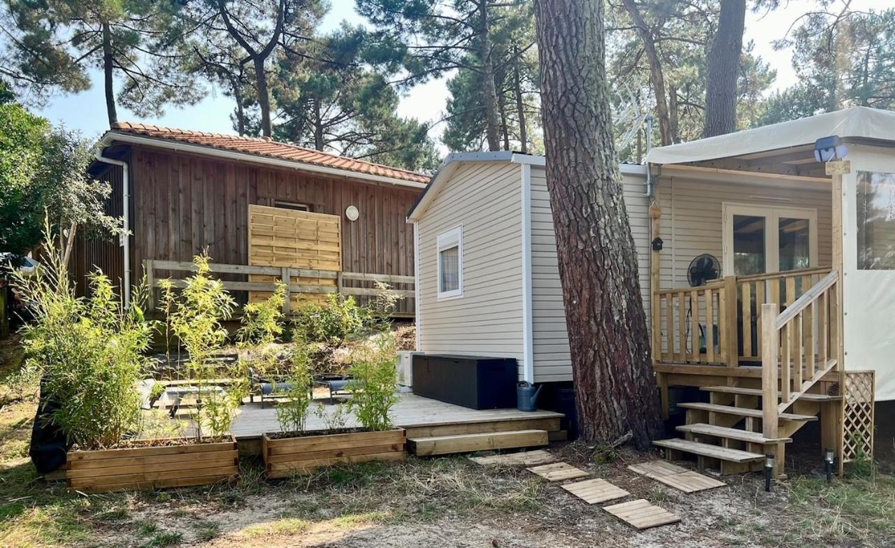 La Cabane Des Pins Lège-Cap-Ferret Екстериор снимка