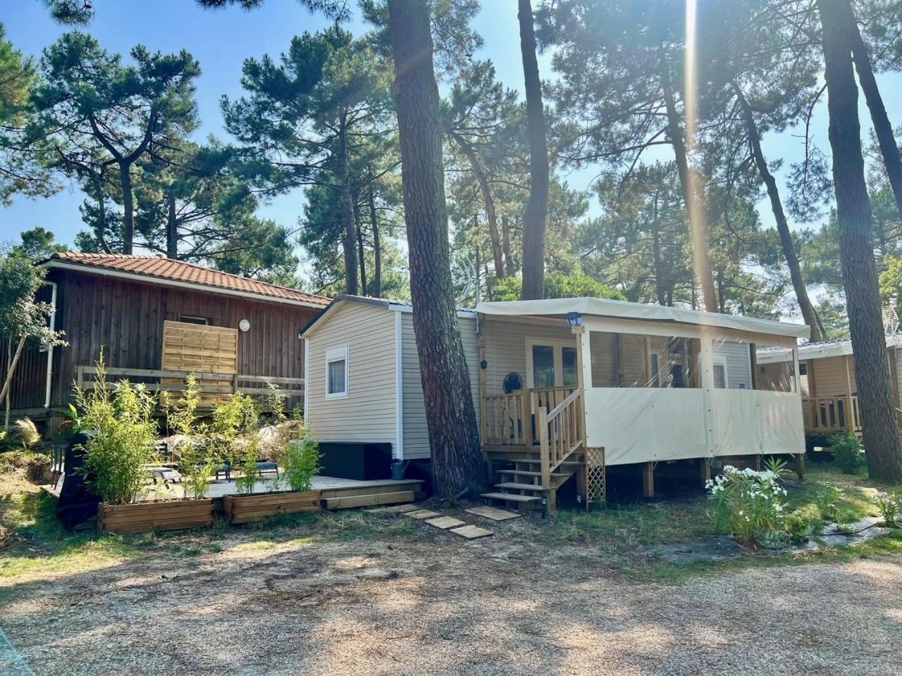 La Cabane Des Pins Lège-Cap-Ferret Екстериор снимка